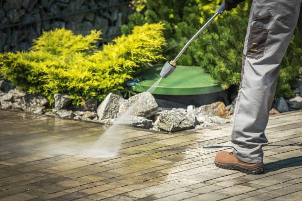 Animal Enclosure Cleaning in Aventura, FL